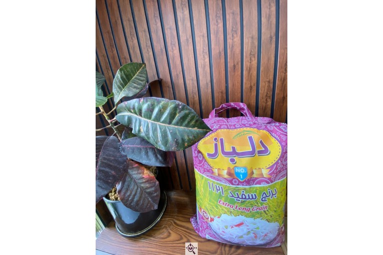 بازرگانی برنج پروانه در کاشمر