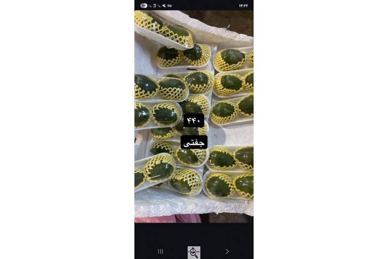 میوه سرای باغ شهر در دهکهان