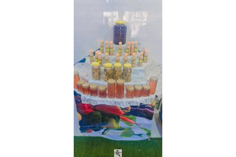 میوه سرای باغ شهر در دهکهان