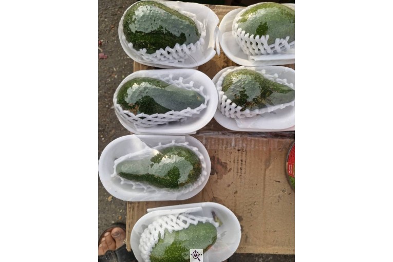 میوه سرای باغ شهر در دهکهان