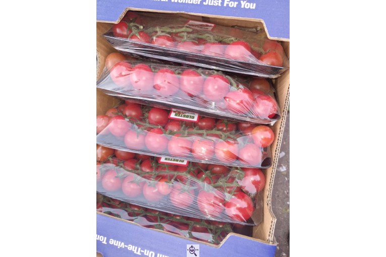 میوه سرای باغ شهر در دهکهان