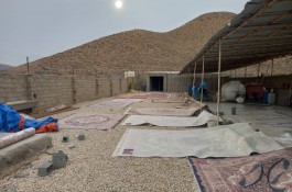 قالیشویی جهانگیری در فیروزکوه