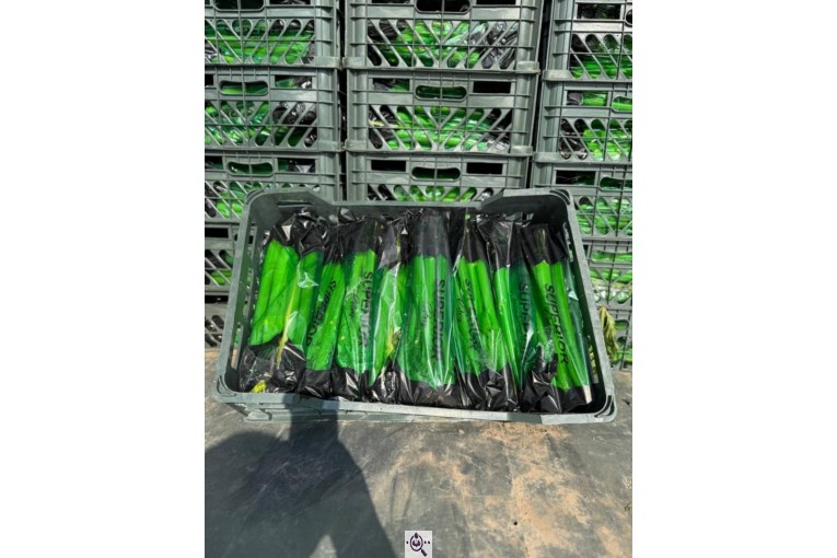 صادرات و تامین کننده انواع صیفی جات و سبزیجات احمد حیدری در خوزستان