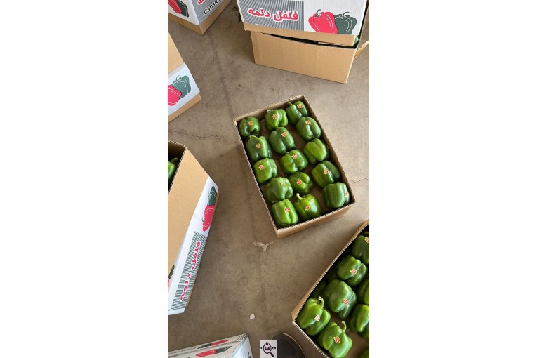 صادرات و تامین کننده انواع صیفی جات و سبزیجات احمد حیدری در خوزستان