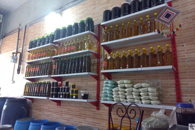 زیتون مهران در رودبار