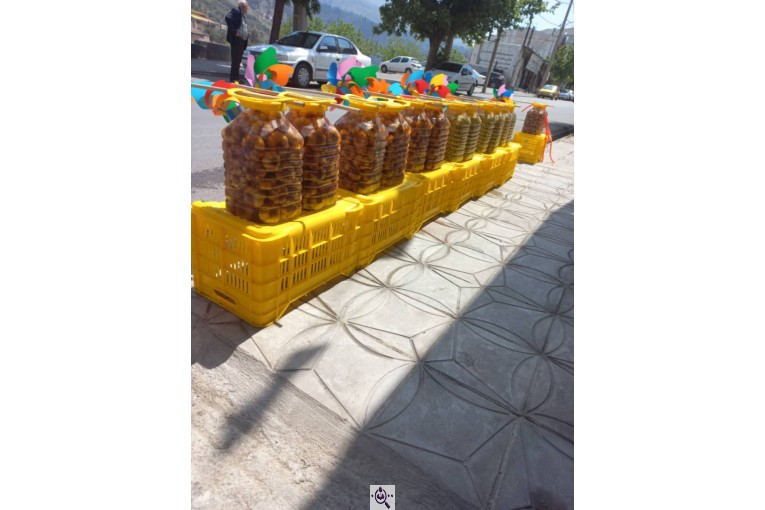 زیتون مهران در رودبار