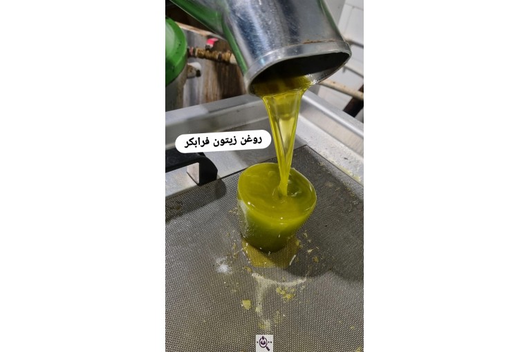 تولید کننده زیتون و روغن زیتون اکبری در طارم