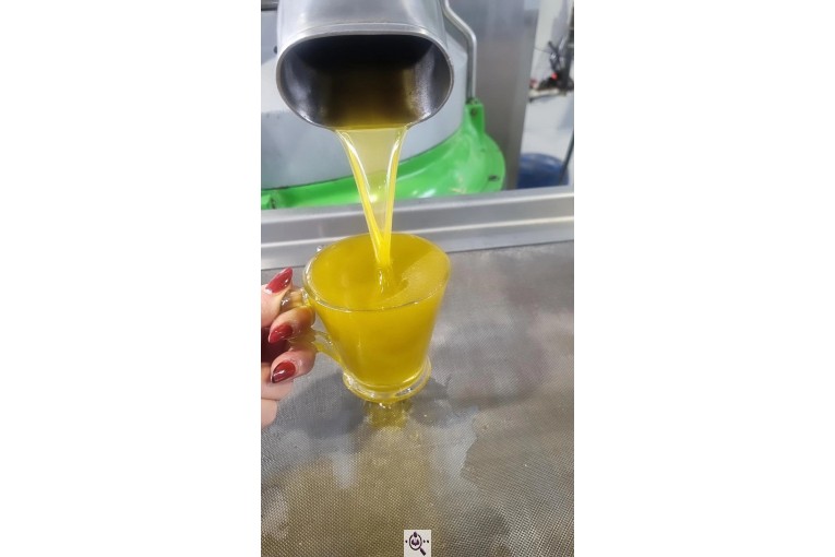 تولید کننده زیتون و روغن زیتون اکبری در طارم