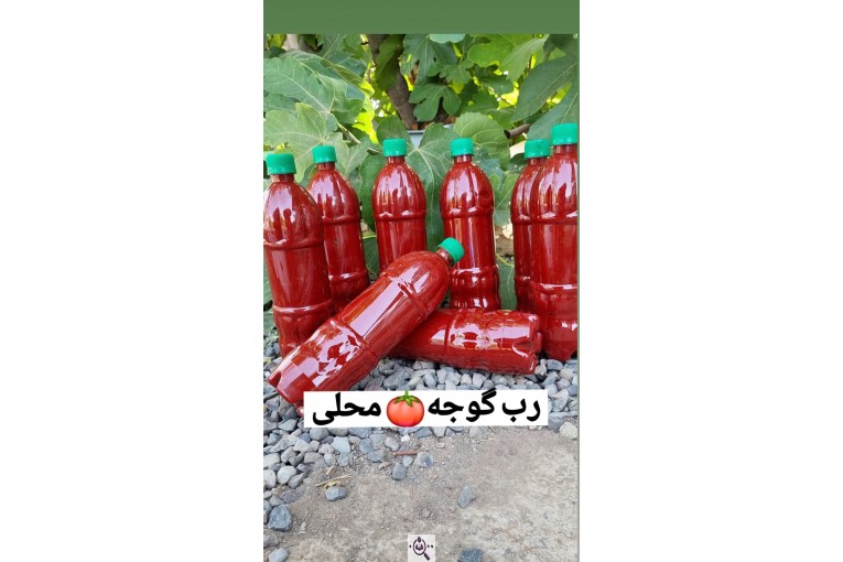 تولید کننده زیتون و روغن زیتون اکبری در طارم