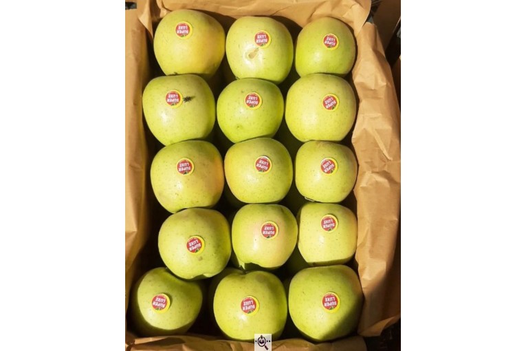 صادرات و تامین کننده میوه و سیب قرمز در اشنویه