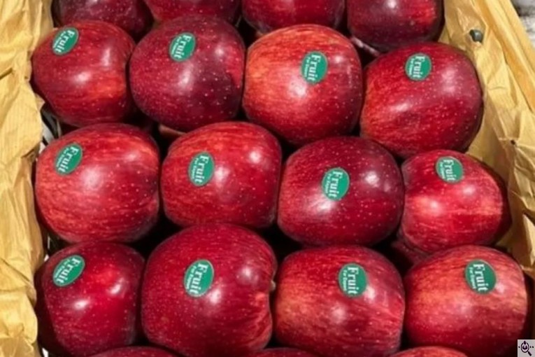 صادرات و تامین کننده میوه و سیب قرمز در اشنویه