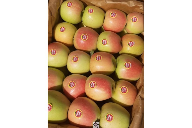 صادرات و تامین کننده میوه و سیب قرمز در اشنویه