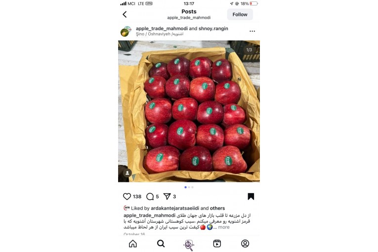 صادرات و تامین کننده میوه و سیب قرمز در اشنویه