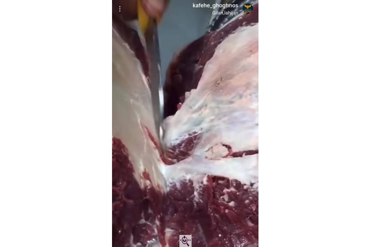 کافه رستوران ققنوس در رودبنه لاهیجان