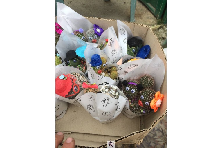 گلخانه گرین لند در آمل