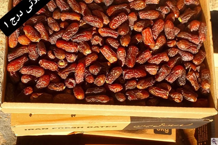 خرمای پیارم ربی گمشادزهی در سیستان و بلوچستان