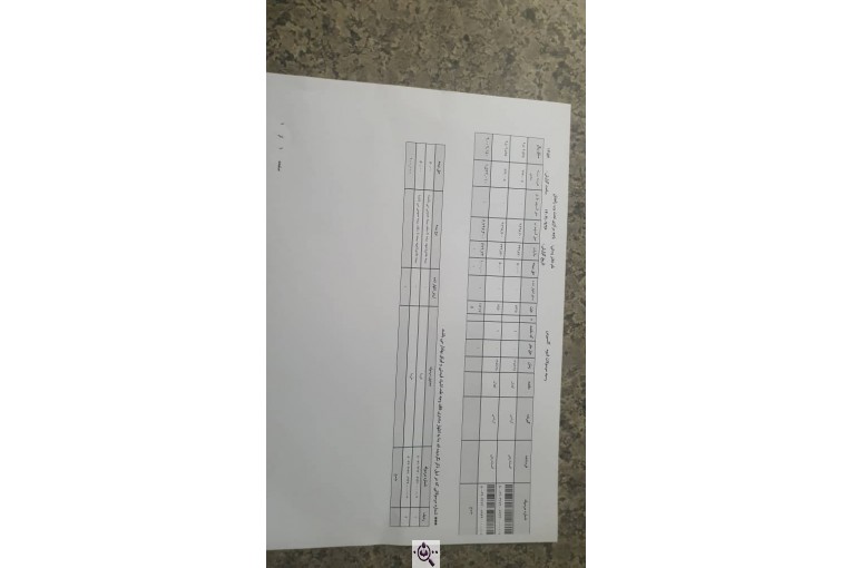 خرمای پیارم ربی گمشادزهی در سیستان و بلوچستان