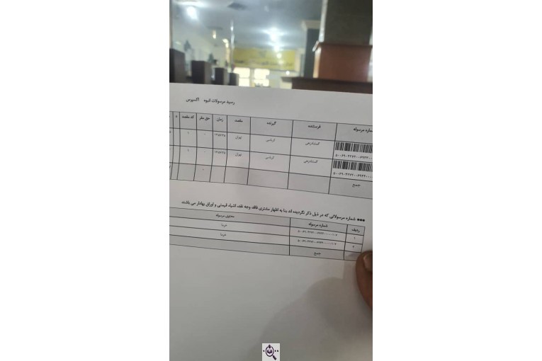 خرمای پیارم ربی گمشادزهی در سیستان و بلوچستان