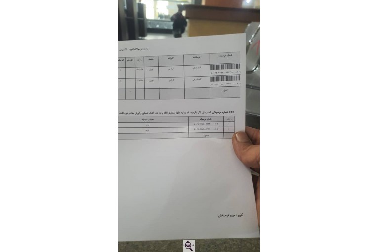 خرمای پیارم ربی گمشادزهی در سیستان و بلوچستان