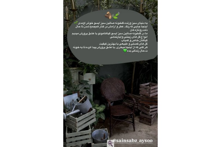گلخانه بزرگ صائین سبز آیسو در شاهین دژ