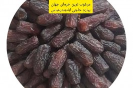 فروش پاجوش پیارم و نخل مجول در هرمزگان