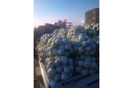 09963688496 فروش و صادرات انواع میوه و خشکبار امیریان