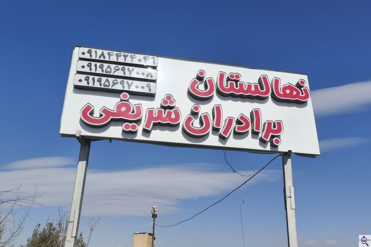 نهالستان برادران شریفی در همدان nahalestan-sharifi.ir