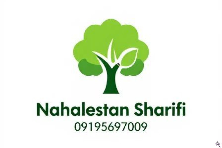 نهالستان برادران شریفی در همدان nahalestan-sharifi.ir