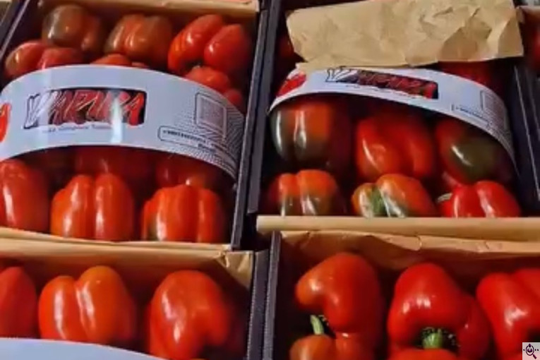 سورتينگ و بسته بندی محصولات گلخانه ای آريكا در شهرک صنعتی دهاقان