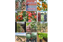 نهالستان سبز نهال خلیلی در میاندوآب