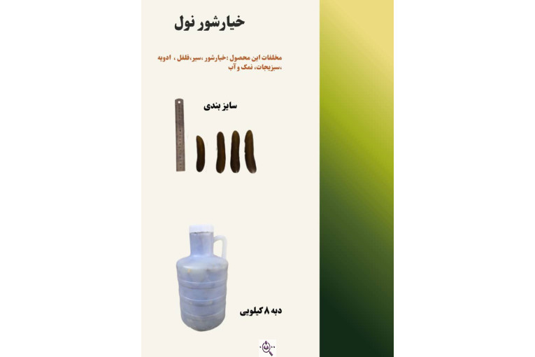 فروش عمده ترشی و شوریجات مزنیک در تهران