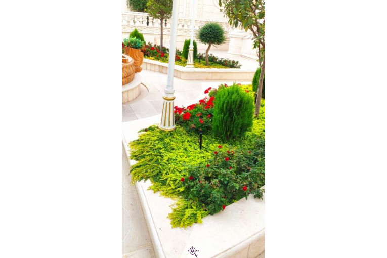 خدمات باغبانی سیار در سراسر تهران