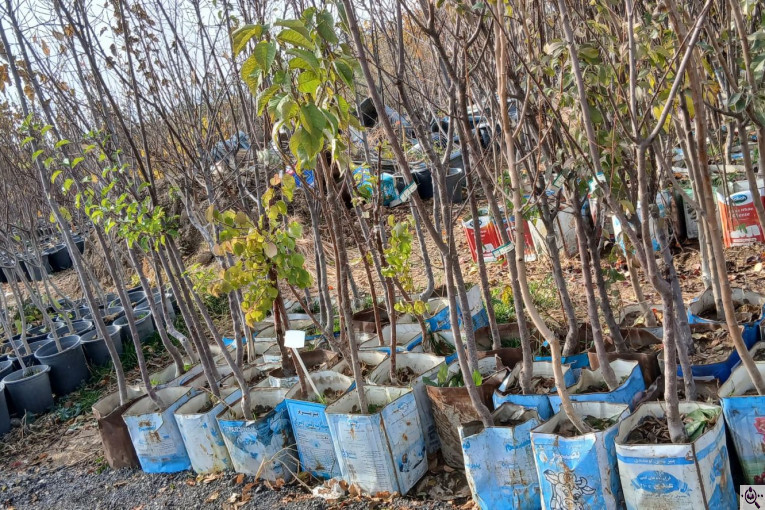 خدمات باغبانی سیار در سراسر تهران