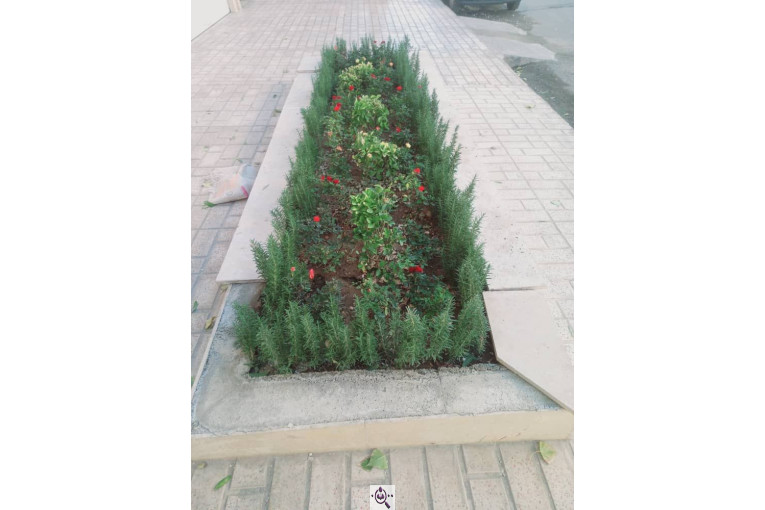 خدمات باغبانی سیار در سراسر تهران