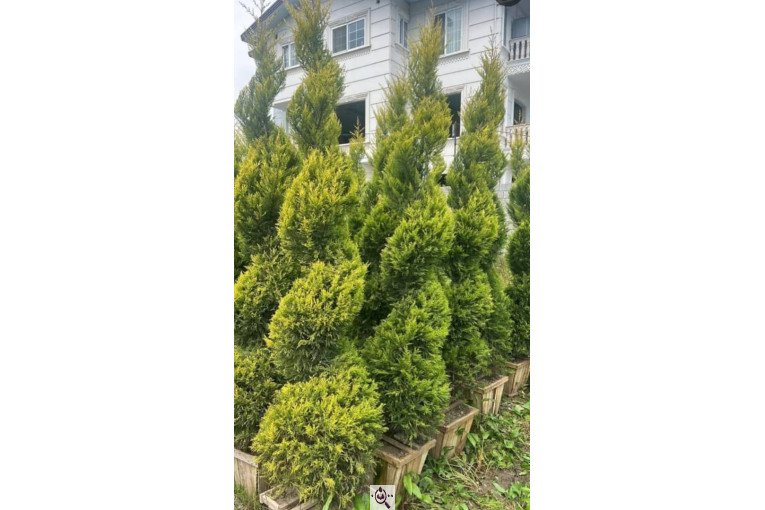 خدمات باغبانی سیار در سراسر تهران