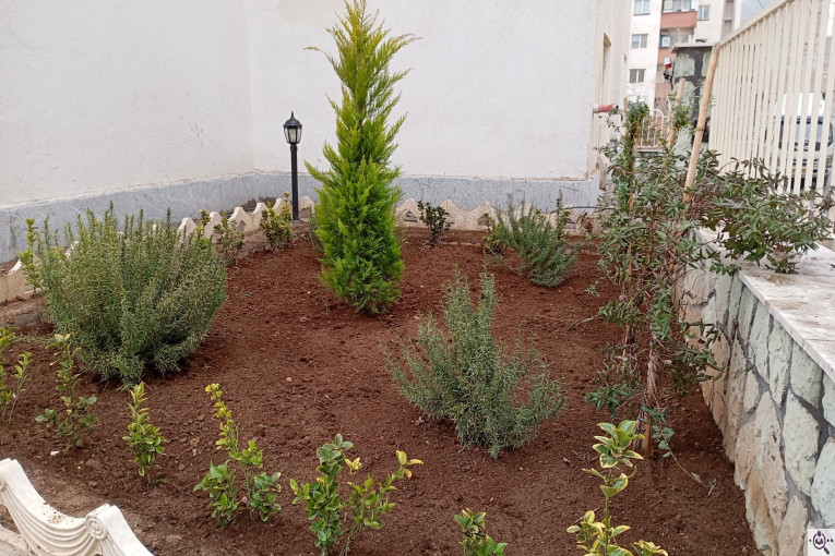 باغبانی و هرس کاری نودهانی در پردیس تهران