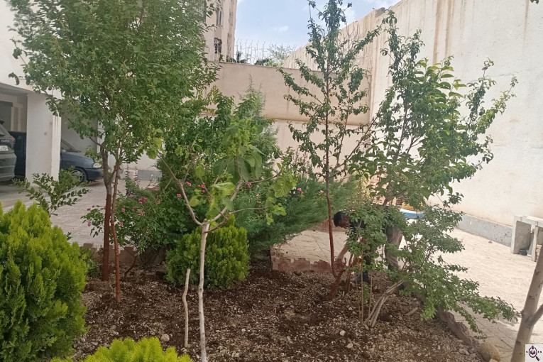باغبانی و هرس کاری نودهانی در پردیس تهران