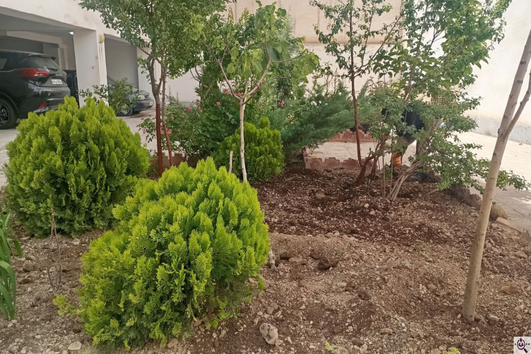 باغبانی و هرس کاری نودهانی در پردیس تهران