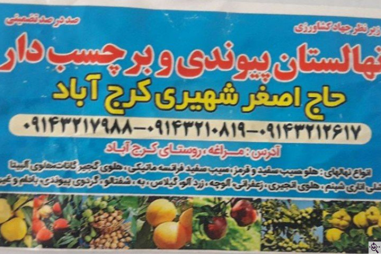 نهالستان حاج اصغر شهیری و سهند در مراغه 