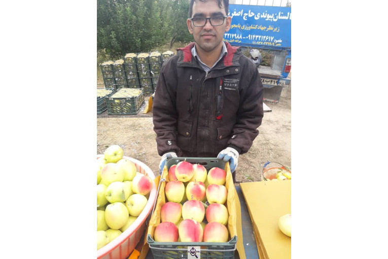 نهالستان حاج اصغر شهیری و سهند در مراغه 