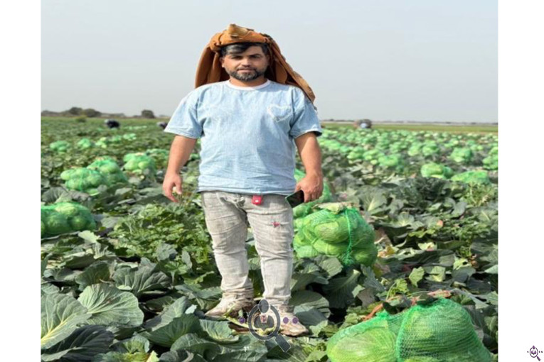 بازرگانی محمد سواری در دزفول