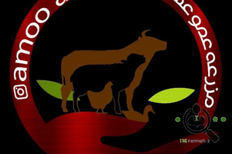 مزرعه محصولات ارگانیک عمو عسگر در آستانه اشرفیه 