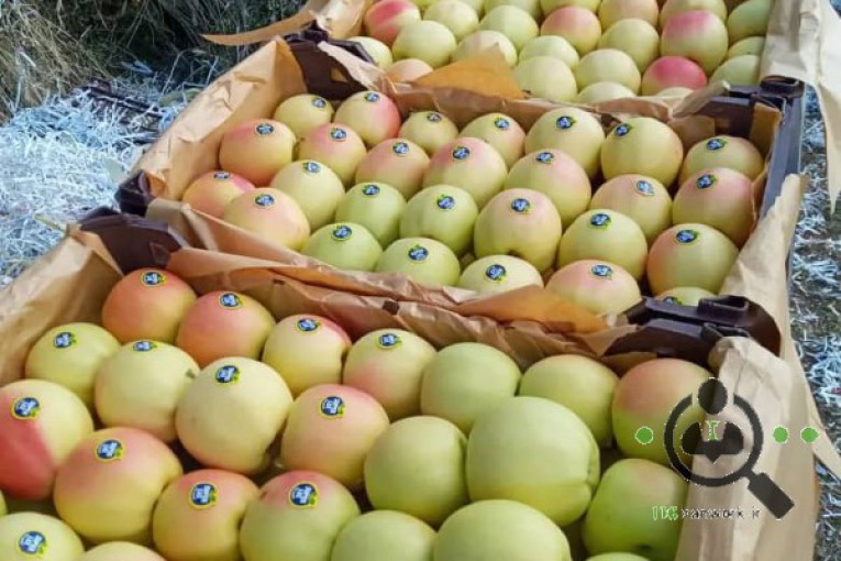 سردخانه مرکزی در میانه