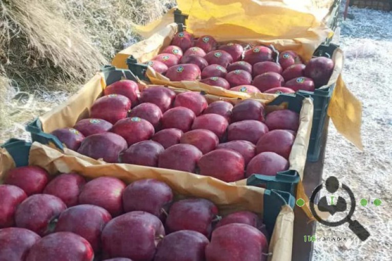 سردخانه مرکزی در میانه