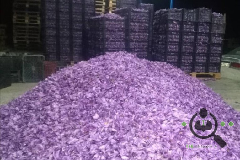 سردخانه عاقبتی در کاشمر