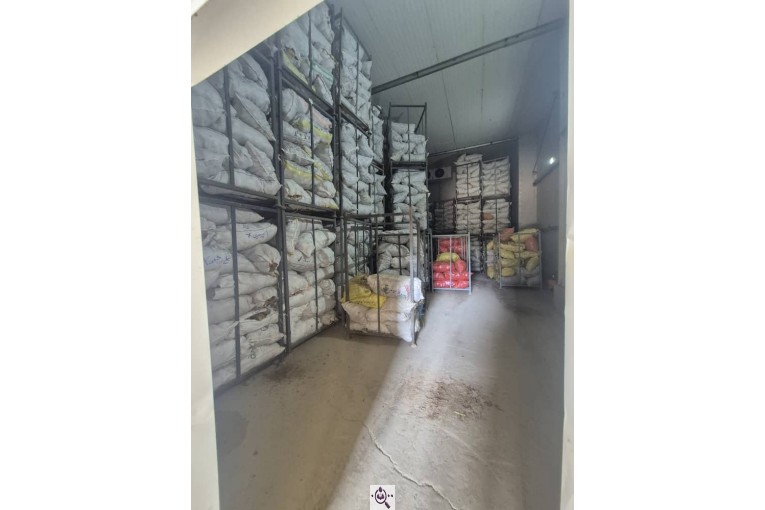 سردخانه سیب زمینی مفتون در همدان 