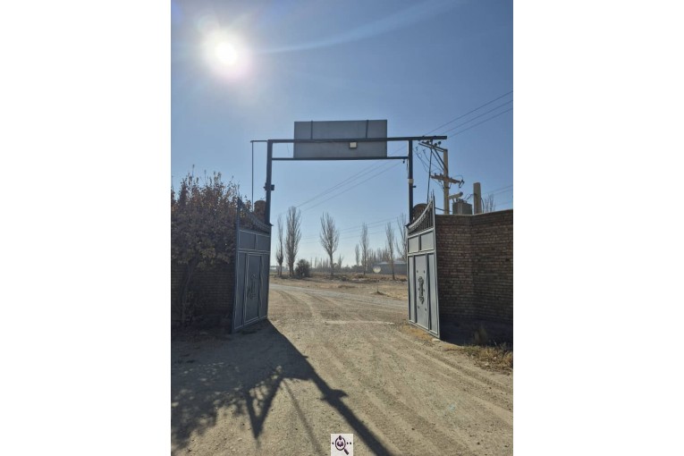 سردخانه سیب زمینی مفتون در همدان 