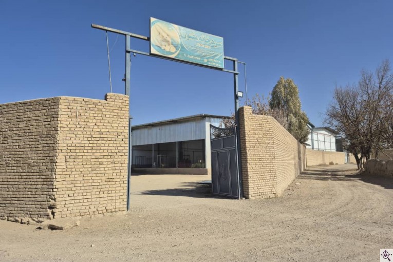 سردخانه سیب زمینی مفتون در همدان 