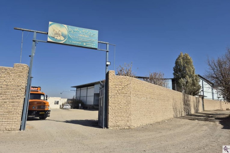 سردخانه سیب زمینی مفتون در همدان 