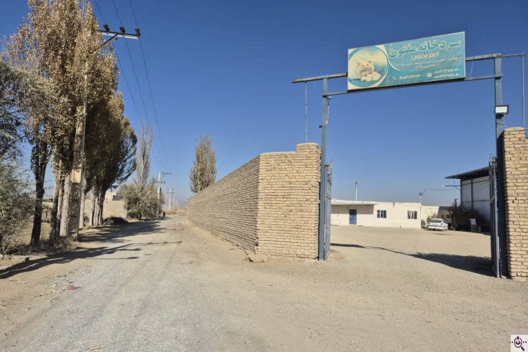 سردخانه سیب زمینی مفتون در همدان 